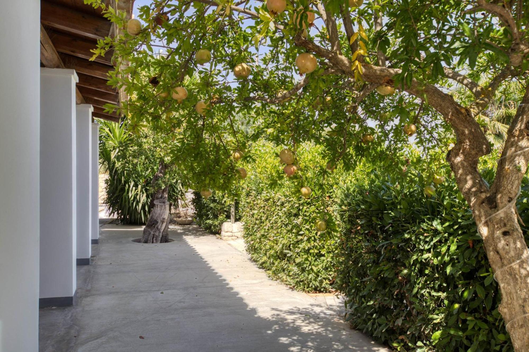 Apartment House & - Relais Casa Bonivini - Grecale Noto